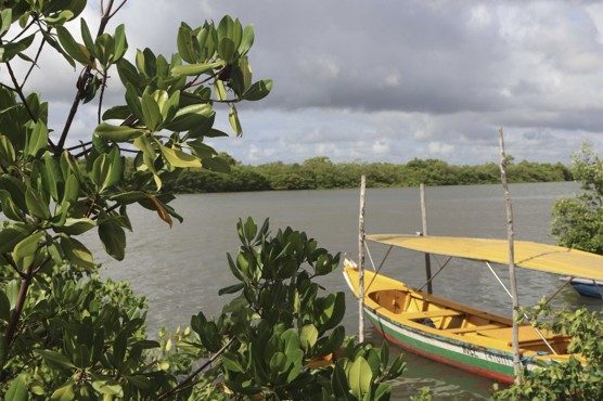 Mangrove estuary in Brazil with a wooden fishing boat