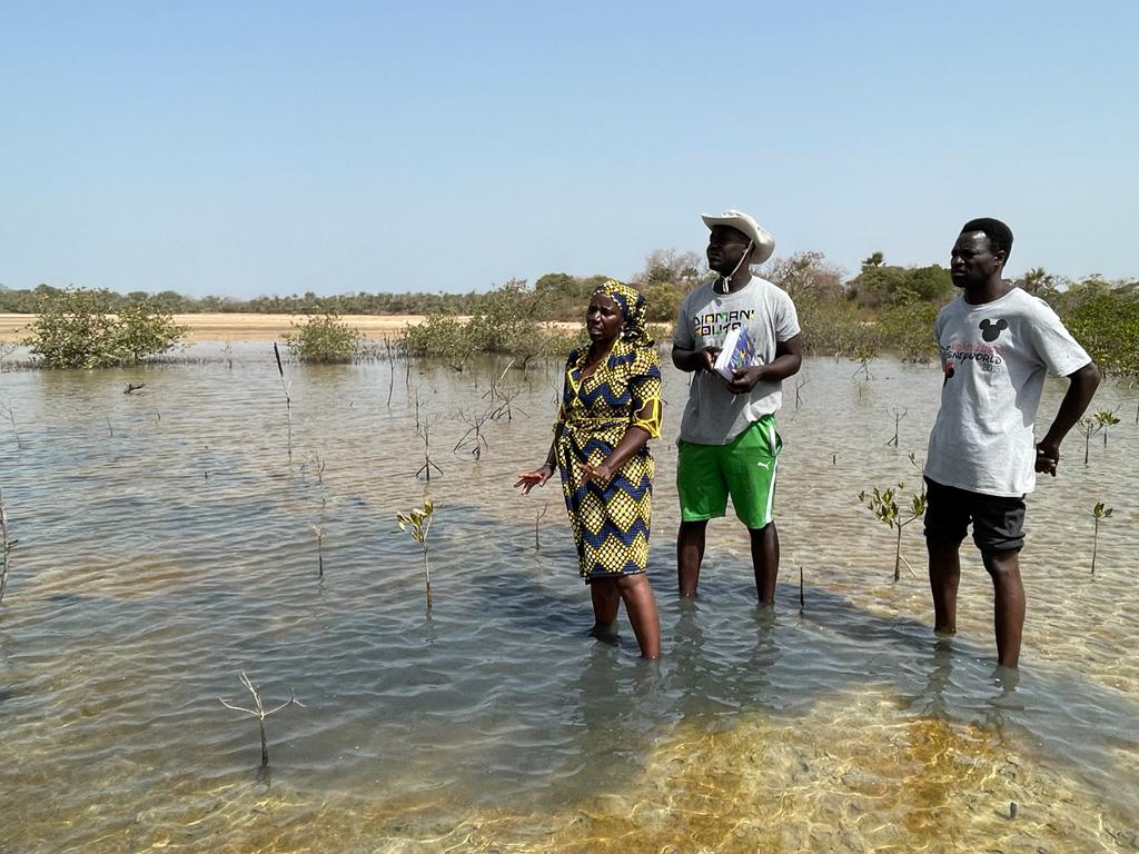 Field visit in Senegal