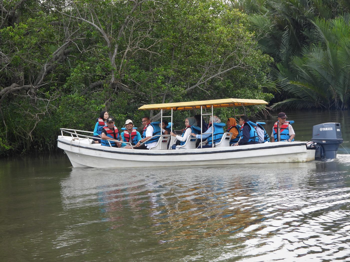 A patrol team moving through a restored mangrove area by boat