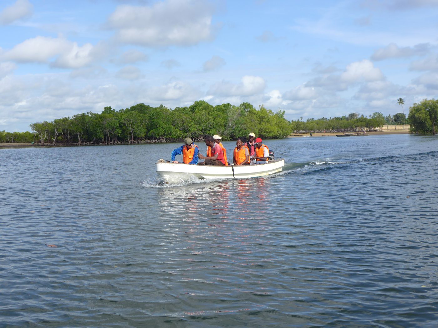 Field team monitoring a restored mangrove area in Kwale
