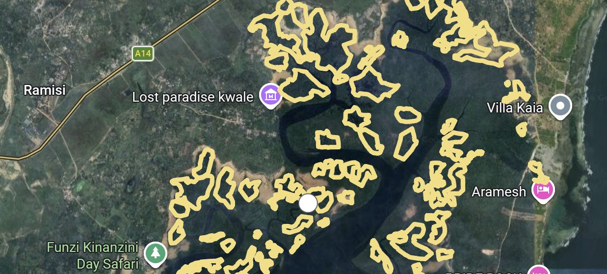 Satellite view of the Kenyan coast with restoration polygons outlined